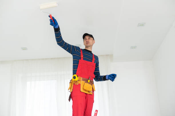 Environmental Consulting for Mold Prevention in Gretna, NE