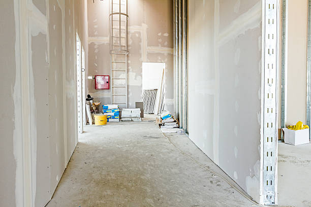 Reliable Gretna, NE Mold Removal Solutions
